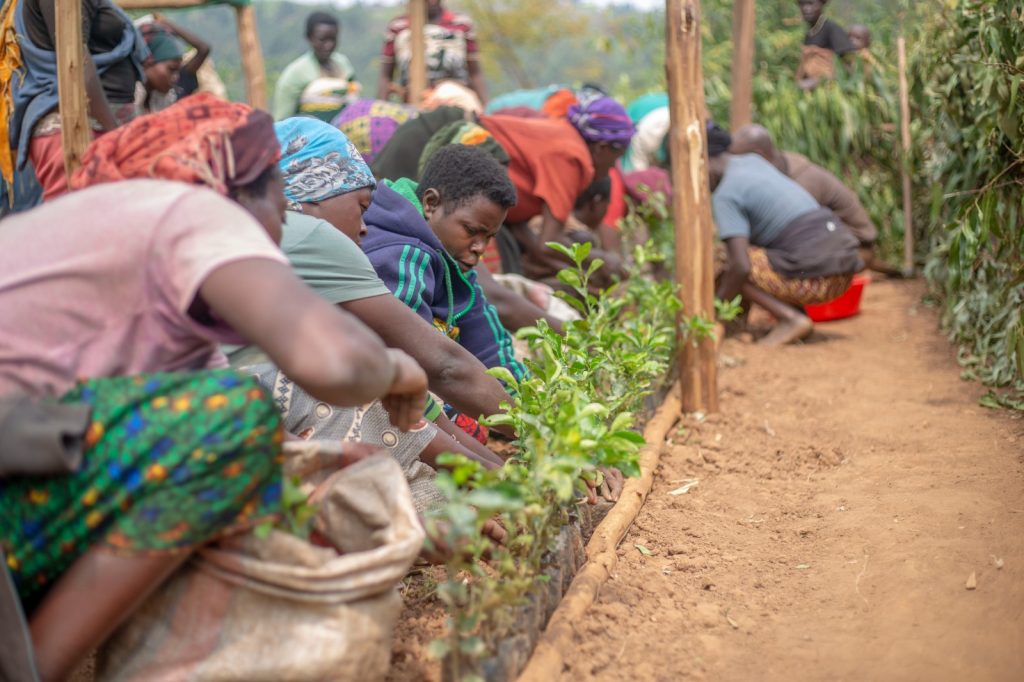 Equipping women in Muhanga District for climate resilience, biodiversity