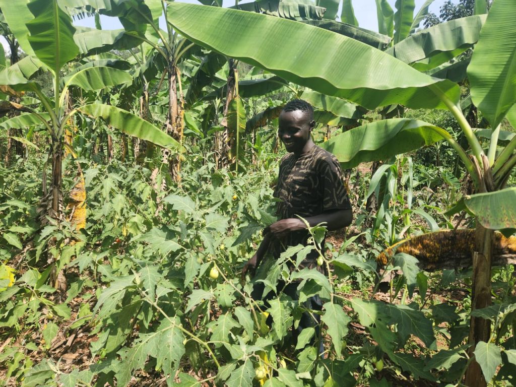 From Conflict to Hope : Simon’s Journey to Healing and Mental Wellbeing